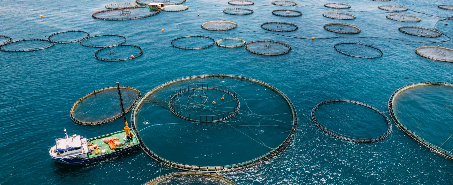 SS 670:2021 Specification for Good Aquaculture Practice | Socotec ...